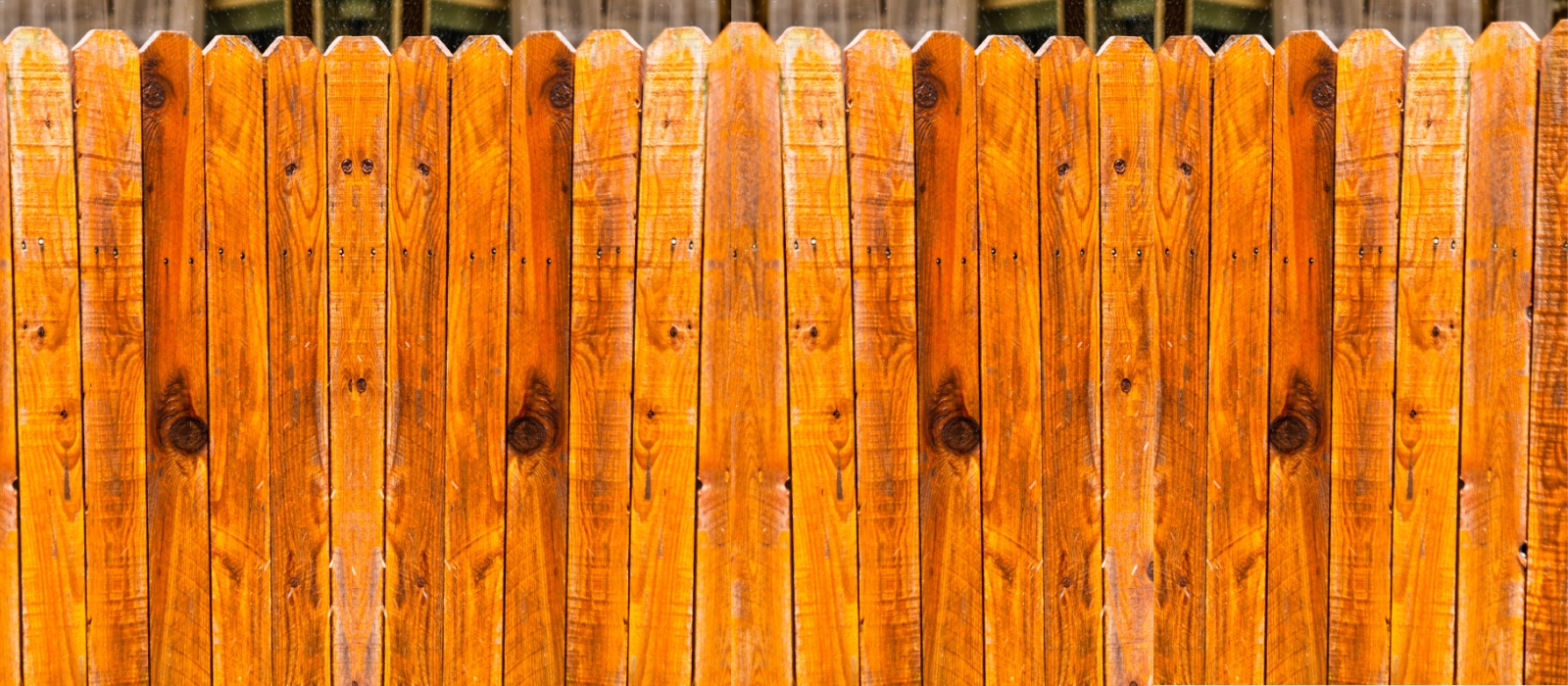 Tannehill Before & After (2)